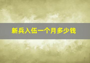 新兵入伍一个月多少钱