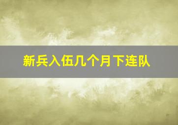 新兵入伍几个月下连队