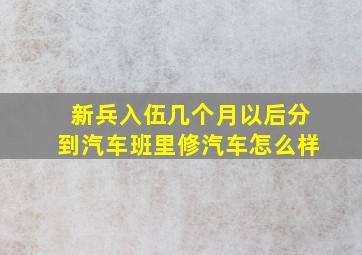 新兵入伍几个月以后分到汽车班里修汽车怎么样