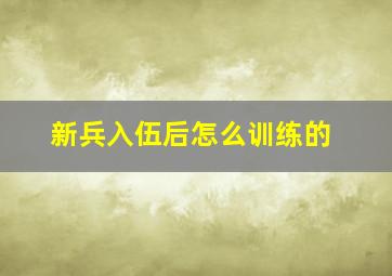 新兵入伍后怎么训练的