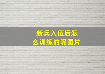 新兵入伍后怎么训练的呢图片