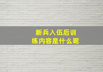 新兵入伍后训练内容是什么呢