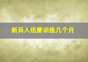 新兵入伍要训练几个月