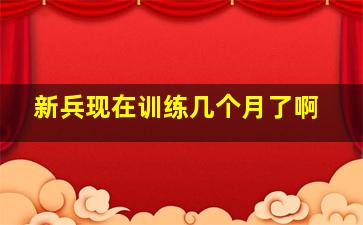 新兵现在训练几个月了啊