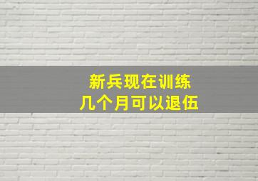 新兵现在训练几个月可以退伍