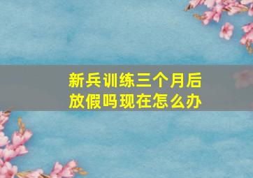 新兵训练三个月后放假吗现在怎么办