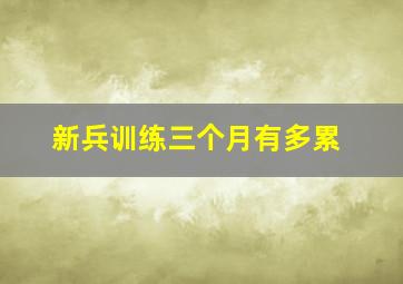 新兵训练三个月有多累