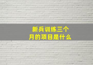 新兵训练三个月的项目是什么