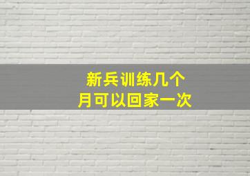 新兵训练几个月可以回家一次