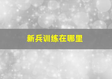 新兵训练在哪里