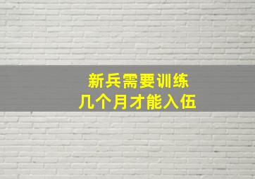 新兵需要训练几个月才能入伍