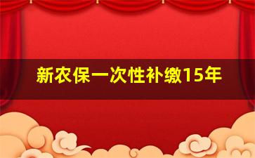 新农保一次性补缴15年