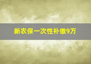 新农保一次性补缴9万