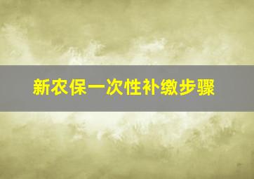 新农保一次性补缴步骤