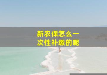 新农保怎么一次性补缴的呢