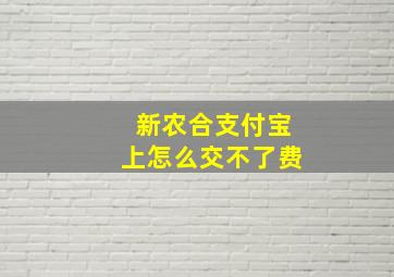 新农合支付宝上怎么交不了费