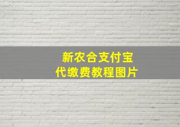 新农合支付宝代缴费教程图片