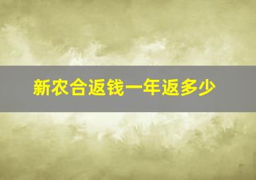 新农合返钱一年返多少