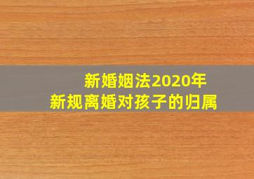 新婚姻法2020年新规离婚对孩子的归属