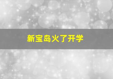 新宝岛火了开学