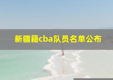 新疆籍cba队员名单公布