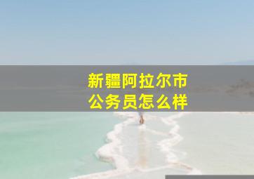 新疆阿拉尔市公务员怎么样