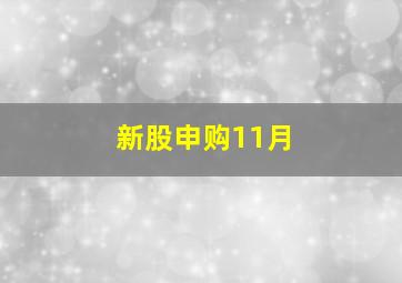 新股申购11月