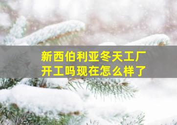 新西伯利亚冬天工厂开工吗现在怎么样了