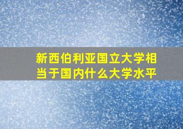 新西伯利亚国立大学相当于国内什么大学水平