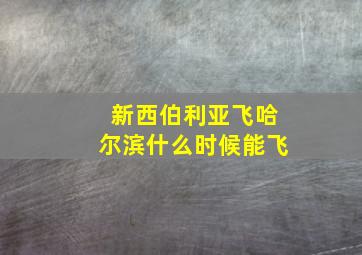 新西伯利亚飞哈尔滨什么时候能飞