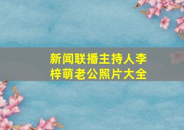 新闻联播主持人李梓萌老公照片大全