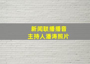 新闻联播播音主持人潘涛照片