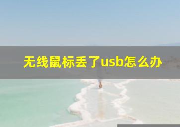 无线鼠标丢了usb怎么办