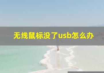 无线鼠标没了usb怎么办