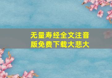 无量寿经全文注音版免费下载大悲大