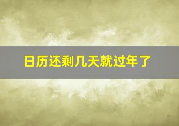 日历还剩几天就过年了