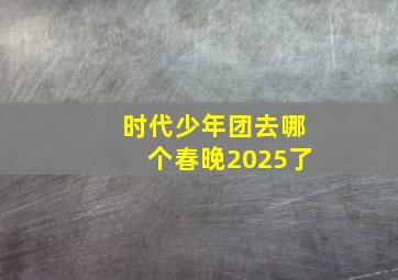 时代少年团去哪个春晚2025了