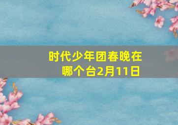 时代少年团春晚在哪个台2月11日