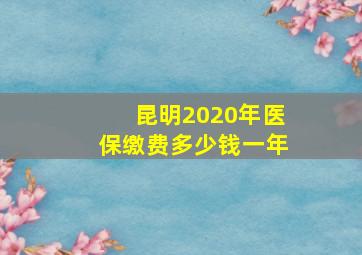 昆明2020年医保缴费多少钱一年