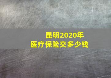 昆明2020年医疗保险交多少钱