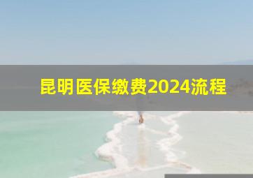 昆明医保缴费2024流程