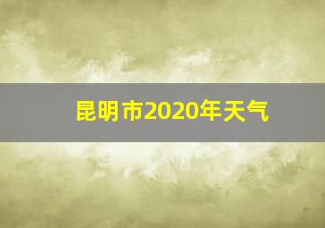 昆明市2020年天气