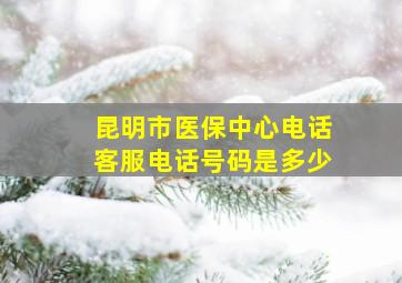 昆明市医保中心电话客服电话号码是多少