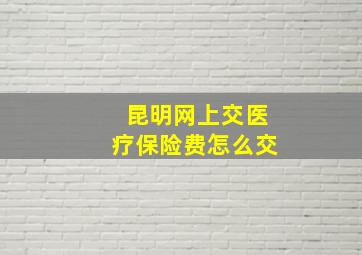 昆明网上交医疗保险费怎么交