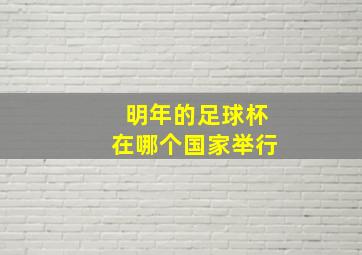 明年的足球杯在哪个国家举行