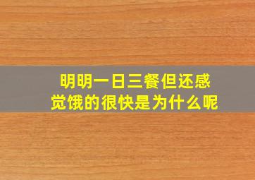 明明一日三餐但还感觉饿的很快是为什么呢