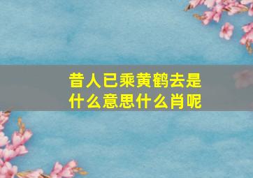 昔人已乘黄鹤去是什么意思什么肖呢