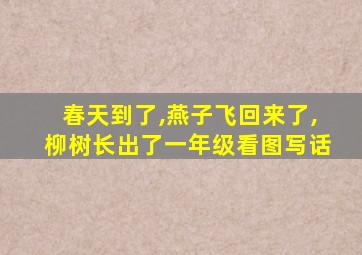 春天到了,燕子飞回来了,柳树长出了一年级看图写话