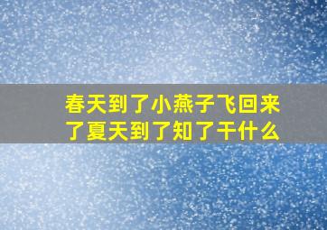 春天到了小燕子飞回来了夏天到了知了干什么