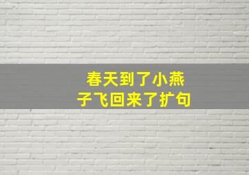 春天到了小燕子飞回来了扩句